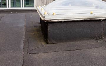 disadvantages of Lower Race flat roofs