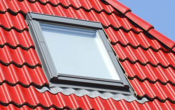 roof windows Lower Race, Torfaen