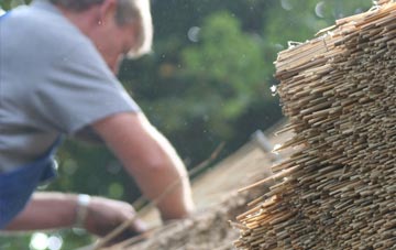 professional Lower Race thatchers